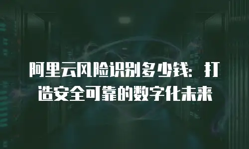 阿里云风险识别多少钱：打造安全可靠的数字化未来