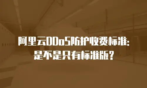 阿里云DDoS防护收费标准: 是不是只有标准版?