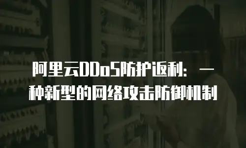 阿里云DDoS防护返利：一种新型的网络攻击防御机制