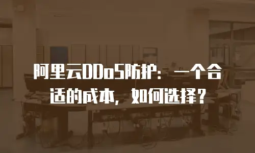 阿里云DDoS防护：一个合适的成本，如何选择？