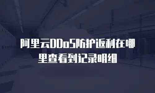 阿里云DDoS防护返利在哪里查看到记录明细