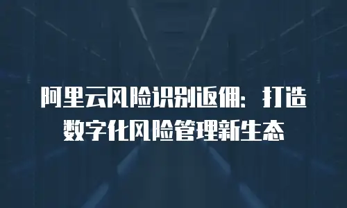 阿里云风险识别返佣：打造数字化风险管理新生态
