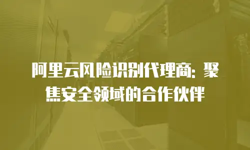 阿里云风险识别代理商: 聚焦安全领域的合作伙伴