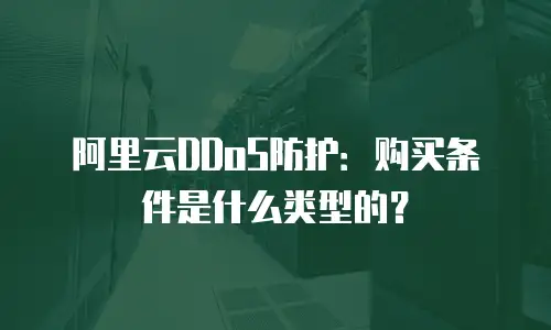 阿里云DDoS防护：购买条件是什么类型的？