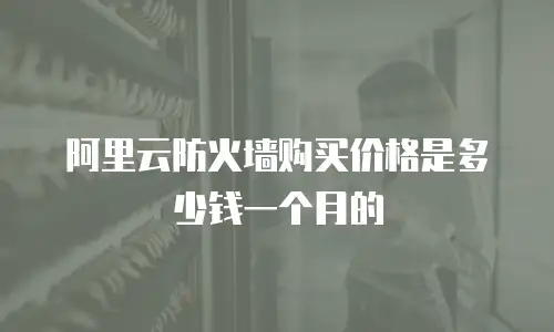 阿里云防火墙购买价格是多少钱一个月的