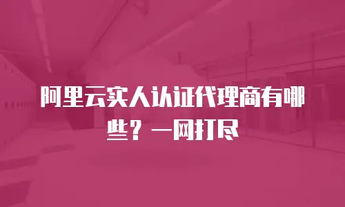 阿里云实人认证代理商有哪些？一网打尽