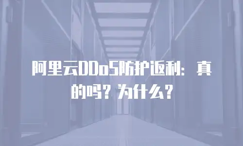 阿里云DDoS防护返利：真的吗？为什么？