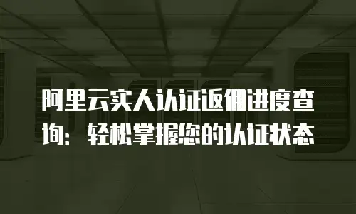 阿里云实人认证返佣进度查询：轻松掌握您的认证状态