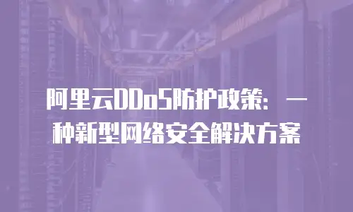 阿里云DDoS防护政策：一种新型网络安全解决方案