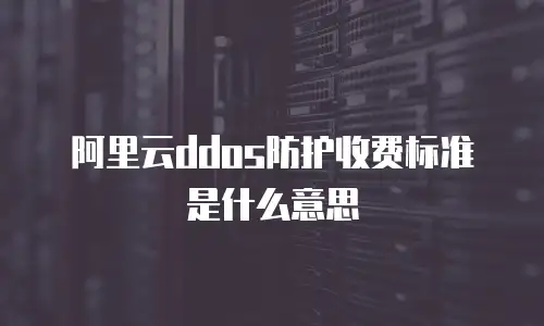 阿里云ddos防护收费标准是什么意思
