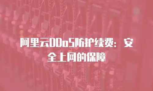 阿里云DDoS防护续费：安全上网的保障
