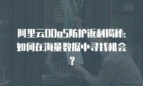 阿里云DDoS防护返利揭秘：如何在海量数据中寻找机会？