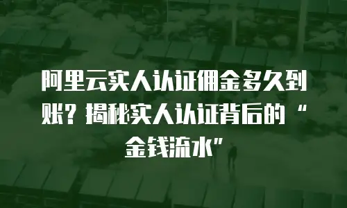 阿里云实人认证佣金多久到账？揭秘实人认证背后的“金钱流水”