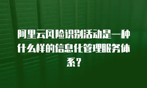 阿里云风险识别活动是一种什么样的信息化管理服务体系？