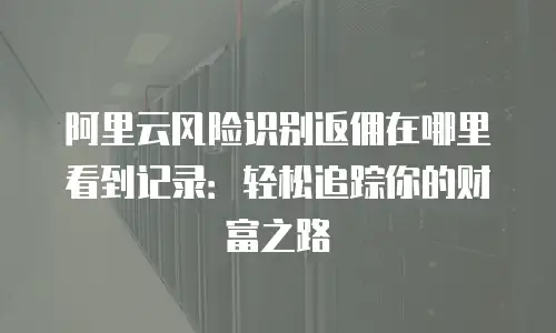 阿里云风险识别返佣在哪里看到记录：轻松追踪你的财富之路