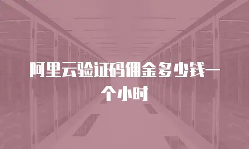 阿里云验证码佣金多少钱一个小时