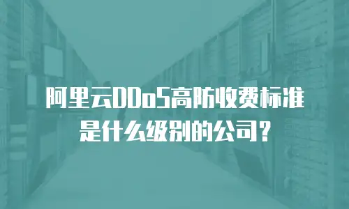 阿里云DDoS高防收费标准是什么级别的公司？