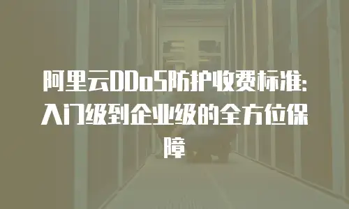 阿里云DDoS防护收费标准：入门级到企业级的全方位保障
