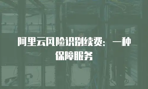 阿里云风险识别续费：一种保障服务