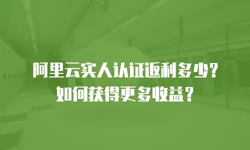 阿里云实人认证返利多少？如何获得更多收益？