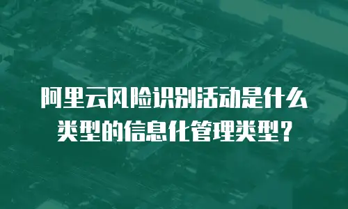 阿里云风险识别活动是什么类型的信息化管理类型？