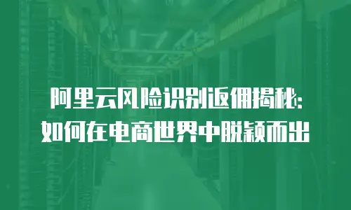 阿里云风险识别返佣揭秘：如何在电商世界中脱颖而出