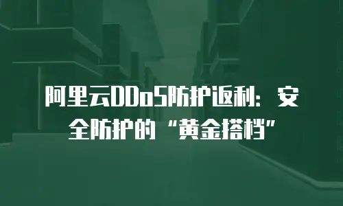阿里云DDoS防护返利：安全防护的“黄金搭档”