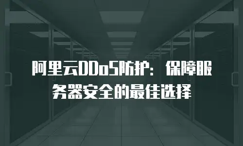阿里云DDoS防护：保障服务器安全的最佳选择