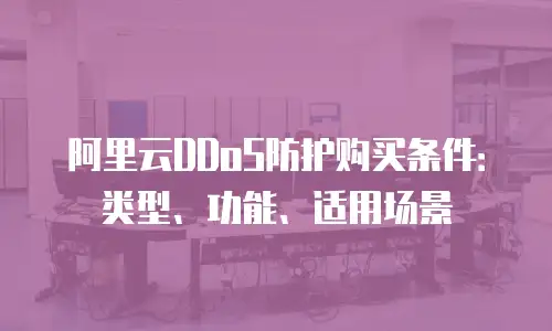 阿里云DDoS防护购买条件：类型、功能、适用场景