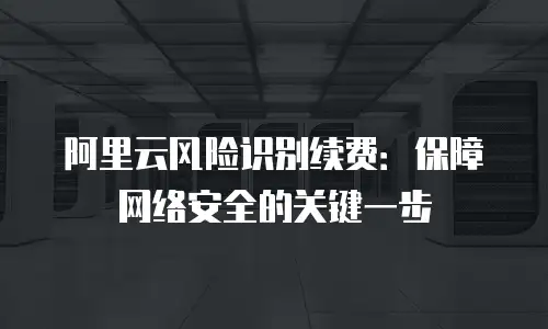 阿里云风险识别续费：保障网络安全的关键一步