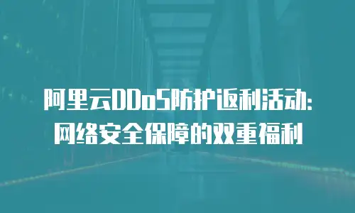 阿里云DDoS防护返利活动：网络安全保障的双重福利