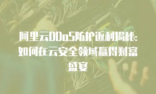 阿里云DDoS防护返利揭秘：如何在云安全领域赢得财富盛宴