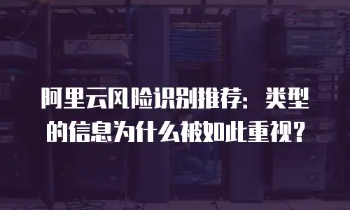 阿里云风险识别推荐：类型的信息为什么被如此重视？