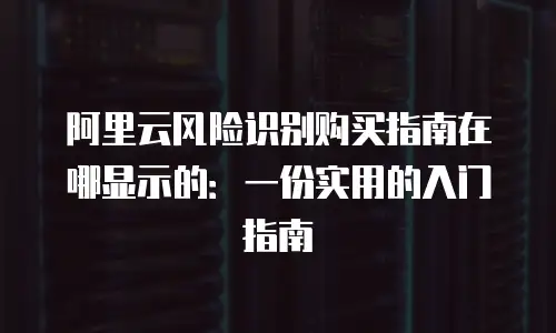 阿里云风险识别购买指南在哪显示的：一份实用的入门指南