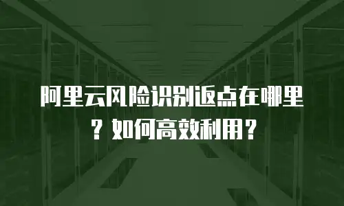 阿里云风险识别返点在哪里？如何高效利用？