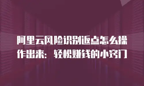 阿里云风险识别返点怎么操作出来：轻松赚钱的小窍门
