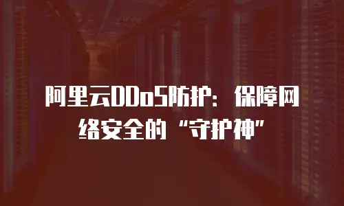 阿里云DDoS防护：保障网络安全的“守护神”
