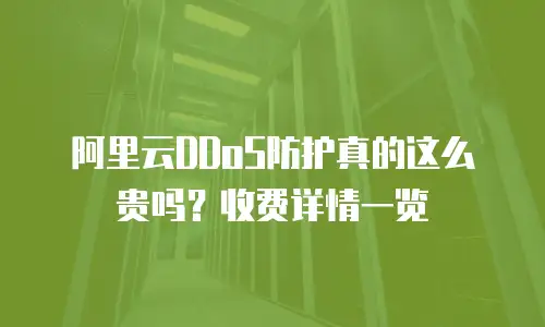 阿里云DDoS防护真的这么贵吗？收费详情一览