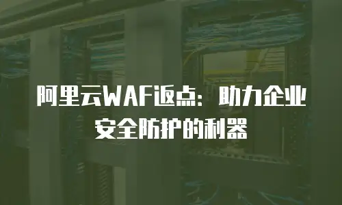 阿里云WAF返点：助力企业安全防护的利器