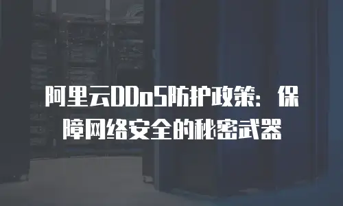 阿里云DDoS防护政策：保障网络安全的秘密武器
