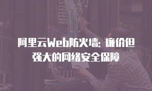 阿里云Web防火墙: 廉价但强大的网络安全保障