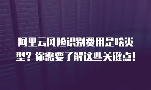 阿里云风险识别费用是啥类型？你需要了解这些关键点！