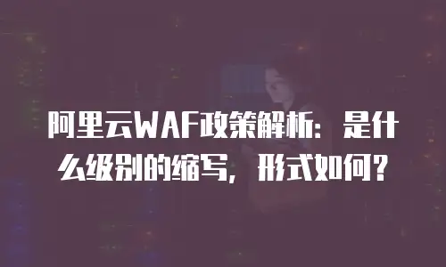 阿里云WAF政策解析：是什么级别的缩写，形式如何？
