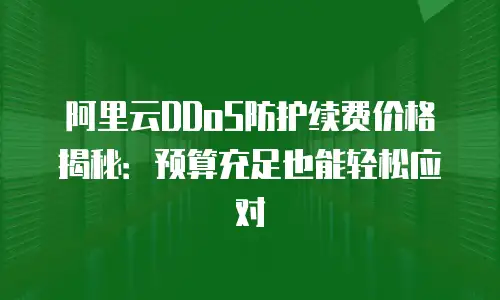 阿里云DDoS防护续费价格揭秘：预算充足也能轻松应对