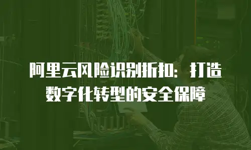 阿里云风险识别折扣：打造数字化转型的安全保障