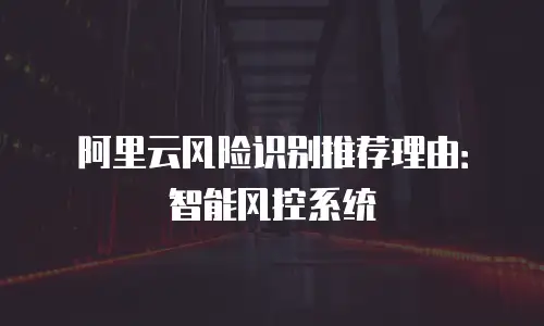 阿里云风险识别推荐理由：智能风控系统