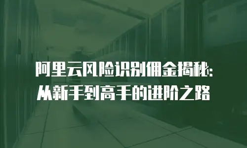 阿里云风险识别佣金揭秘：从新手到高手的进阶之路