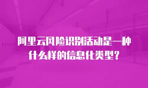 阿里云风险识别活动是一种什么样的信息化类型？