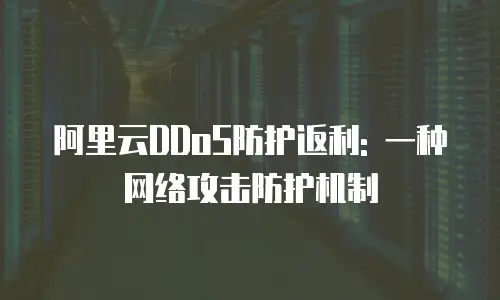 阿里云DDoS防护返利: 一种网络攻击防护机制