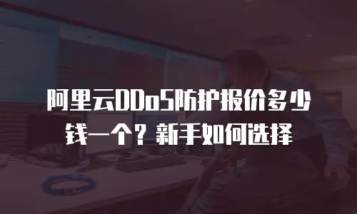 阿里云DDoS防护报价多少钱一个？新手如何选择